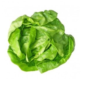 Lechuga rizada