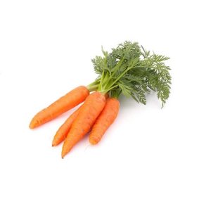 Zanahorias en rama